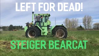 FORGOTTEN Steiger Bearcat!  Will it start and drive home?