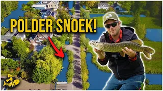 ZO VANG JIJ MAKKELIJK SNOEK - Vissen vanaf de kant in woonwijk