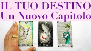 Il TUO DESTINO - Passato Presente e Futuro | TAROCCHI INTERATTIVI PRIMO QUARTO