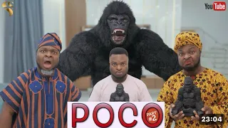 AFRICAN HOME: POCO THE GORILLA (PART 2)