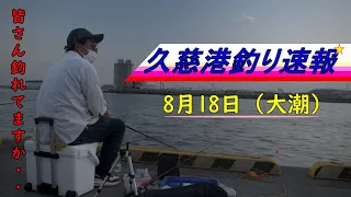 茨城県の釣り　久慈港釣り速報（８月）