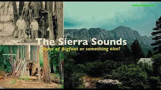 EP 07) THE SIERRA SOUNDS - VOICE OF BIGFOOT OR SOMETHING ELSE? | NIGHT SESSIONS - MYSTERY RADIO