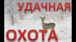 Удачная охота на косулю. закрыли 2 лицензии. Successful roe deer hunt. closed 2 licenses. 4K