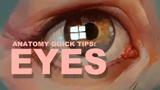 Anatomy Quick Tips: Eyes