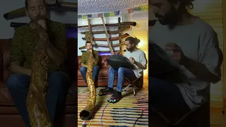 Handpan and Didgeridoo - Insane Jam