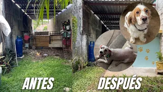 ✅🐶 CASITA PARA PERRITOS + Tulipán Solar de Betterware | Mundo Betterware 🌎