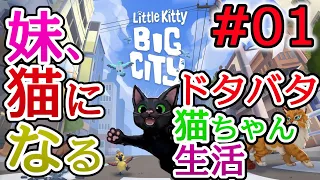 自由気ままな猫がかわすぎる！ 妹が猫になりました 【Little Kitty, Big City】