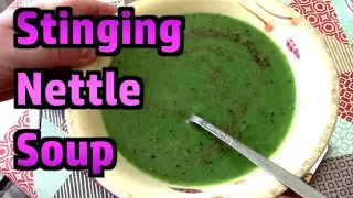 Stinging Nettle Soup - Delicious! - Foraging Tips And Recipe