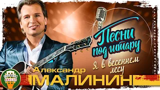 АЛЕКСАНДР МАЛИНИН ✮ Я В ВЕСЕННЕМ ЛЕСУ ✮ ПЕСНИ ПОД ГИТАРУ ✮ ALEXANDER MALININ ✮ SONGS TO THE GUITAR