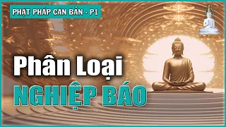 Phân Loại Các Loại Nghiệp | Phật Pháp Căn Bản – phần 1