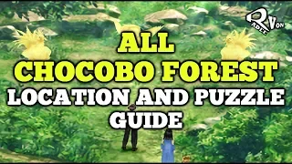 All Chocobo Forest Location and Puzzle Guide - Final Fantasy VIII