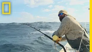 Catch of the Week - Fins of the Father | Wicked Tuna: Outer Banks