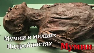 Мумии в близи это не для Слабонервных.