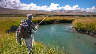 Epic Spring Creek Reveals Big Trout and Saves the Day!