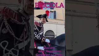 Briciola, la mascotte dei Carabinieri a Cavallo