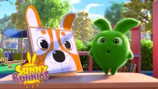 Las Aventuras de Sunny Bunnies | Tiempo para dibujar | Dibujos para niños