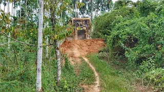 AWESOME Operator Bulldozer CAT D6R XL Works Very Well Cleaning Plantation Roads