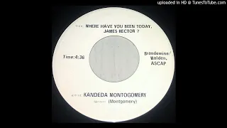 Kandeda Montgomery-"Where Have You Been Today, James Rector" 1969 Folk-Psych 45