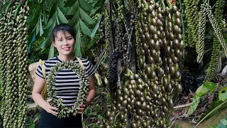 Harvest fruit in natural forest | bring to market to sell | Em Tên Toan