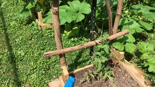 Make a Garden Trellis out of Tree Branches