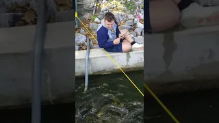 Feeding the carp at Lake Raystown 5/20(1)