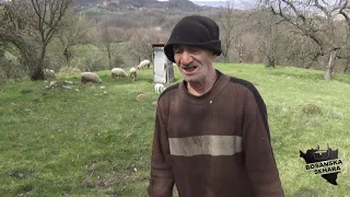 Kud me babo doveze ovdje,bolje da sam ostao u Srbiji