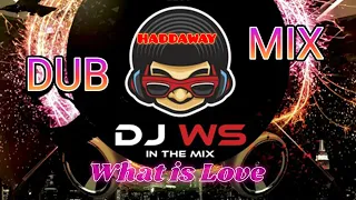 Haddaway - What is Love (Freestyle DUB Mix DJ WS)