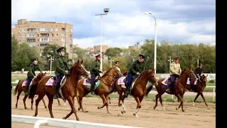 Дончаки на Московском ипподроме