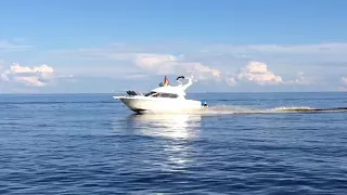 Bayliner 288