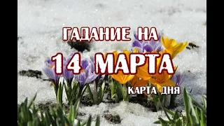 Гадание на 14 марта 2023 года. Карта дня. Таро Зеленой Ведьмы.