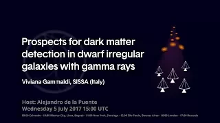 [W45] Viviana Gammaldi: Prospects for dark matter detection in dwarf irregular galaxies