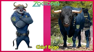 ZOOTOPIA Characters In Real Life 2022.Animal Version.