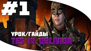 Что делать когда вышел из канализации?[The Elder Scrolls IV: Oblivion]