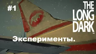 The Long Dark. Эксперименты#1[Экстремальный спуск с вершины]