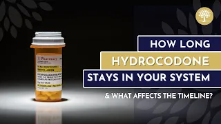 How Long Does Hydrocodone Stay in Your System? - The Recovery Village Ridgefield