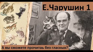 Иллюстратор, детский писатель Е. Чарушин