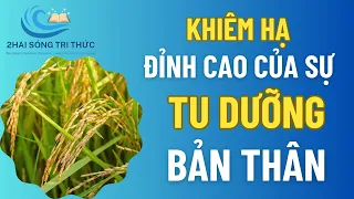 Khiêm hạ - Đỉnh cao của sự tu dưỡng bản thân |2HAI SÓNG TRI THỨC