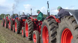 Zes Bolinder Munktell trekkers redden Fendt