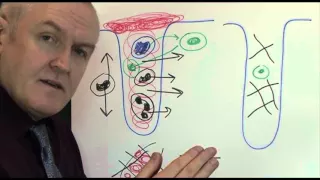 Physiology of wound healing