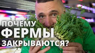 Закрытие фермы Микрозелени ! Почему ??? микрозелень бизнес заработок сити фермерство