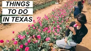 Spring Time Bucket List! Texas Tulip Field from the Netherlands | Hobo Ahle