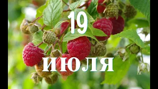 19 июля Всероссийский день добра, а ещё народные приметы и поверья
