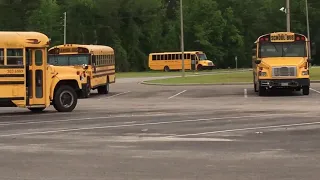 Various school buses