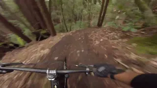 Aptos MTB - Finding the flow outside of Demo - Turbo Levo