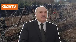 НЕЛЕГАЛИ з БІЛОРУСІ прорвались у Польщу: від ЄС очікують РІШУЧИХ ДІЙ