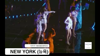 마마무 MAMAMOO[4K 직캠]NEW YORK (뉴욕)@170303 락뮤직