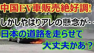 【中国EV車】中国の電気自動車販売台数が大幅増。しかし○○の問題があるでしょう！