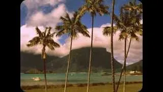 Jack Johnson  A Pirate Looks At Forty And Flake (Live) 1960s Video Enhancement