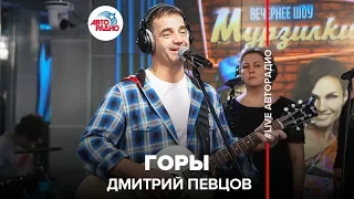 Дмитрий Певцов - Горы (LIVE @ Авторадио)