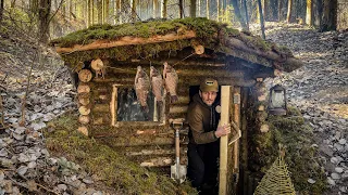 7 DAYS of building Survival Shelters / Bushcraft Earth Hut, log and moss walls ASMR